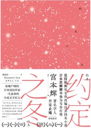 约定之冬（日本文学至高荣誉得主，被全日本宠爱了50年的国宝级大作家，长篇代表作首度引进）