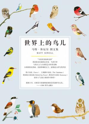 世界上的鸟儿（套装共5册）【“鸟类世界的班克西”马特·休厄尔，写给大人与小孩的艺术科普读物】