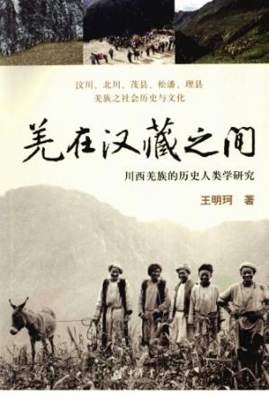 羌在汉藏之间:川西羌族的历史人类学研究