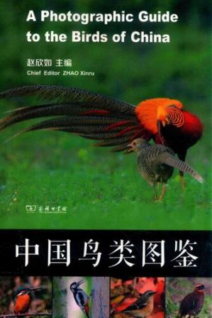 中国鸟类图鉴