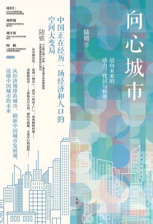 向心城市：迈向未来的活力、宜居与和谐【刷新有关城市的观念，《大国大城》姊妹篇，读懂中国城市的未来，深入经济规律把握向心趋势下的中国发展格局】